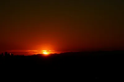 DSC_1483 (Large).JPG